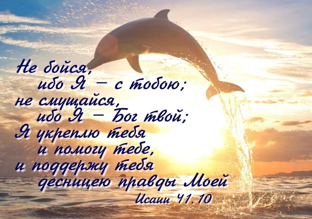 Стихи из Библии