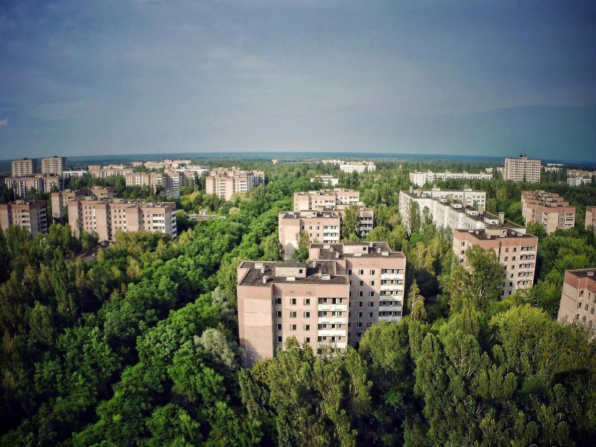 Ставрополь зеленый с высоты птичьего полета