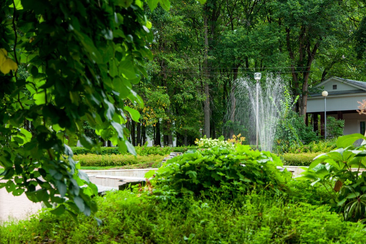 Зеленый город экология