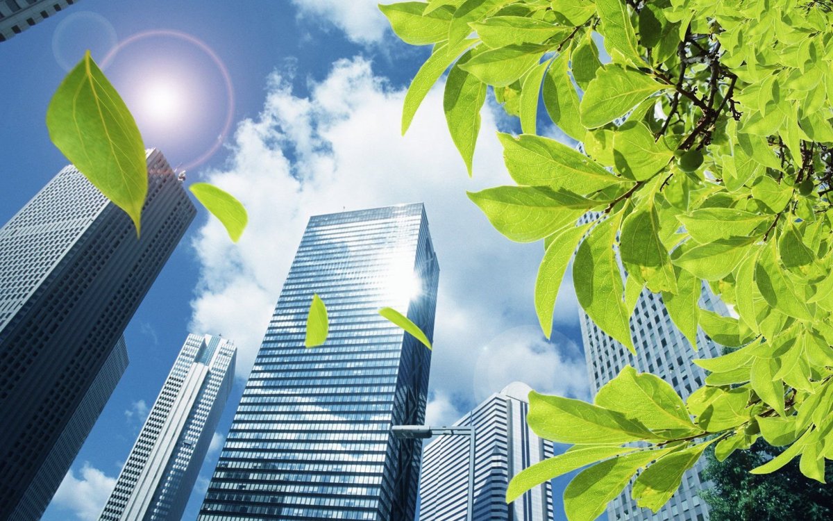 Зеленая школа логотип