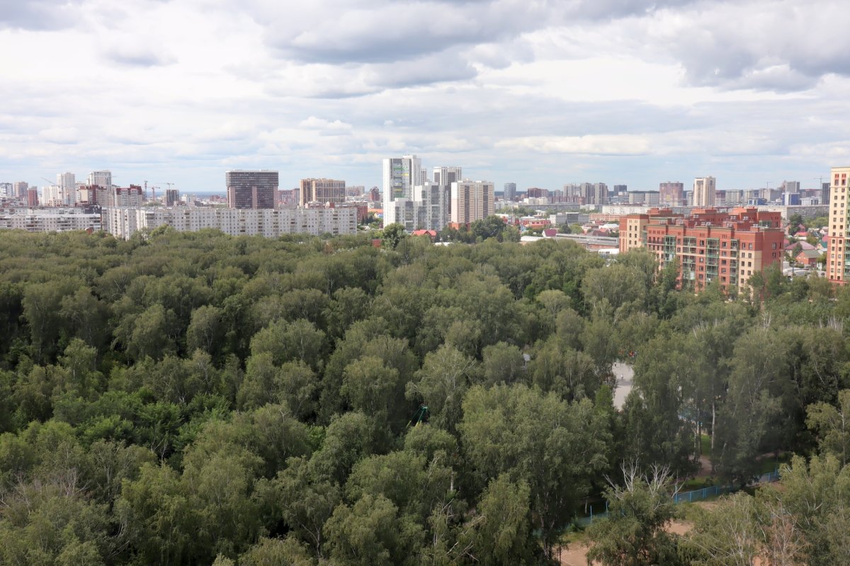 Название экологического отряда