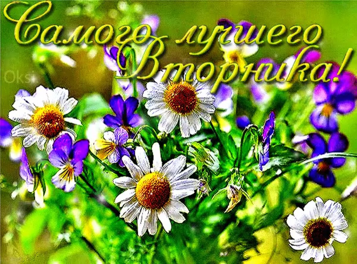 Чудесный букет для хорошего настроения