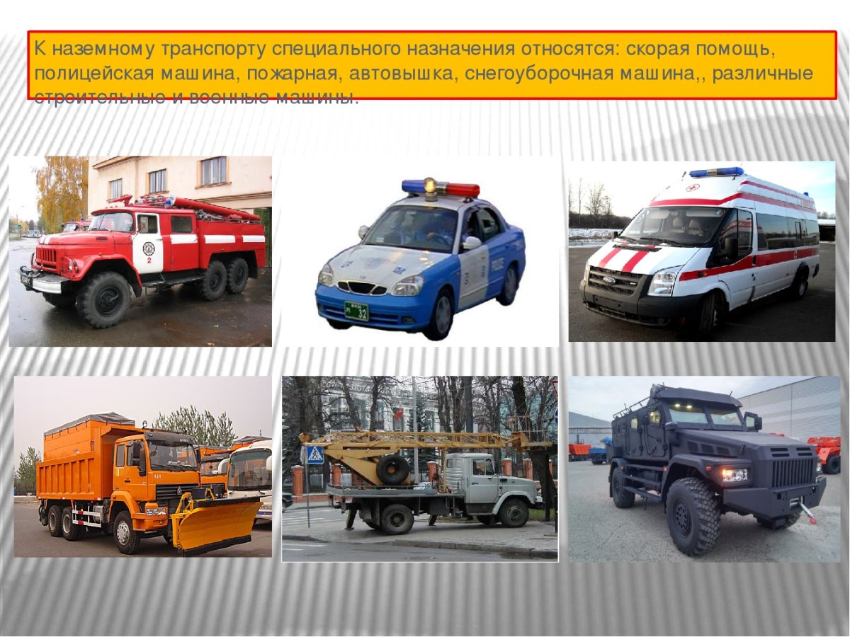 Специальный транспорт для детей