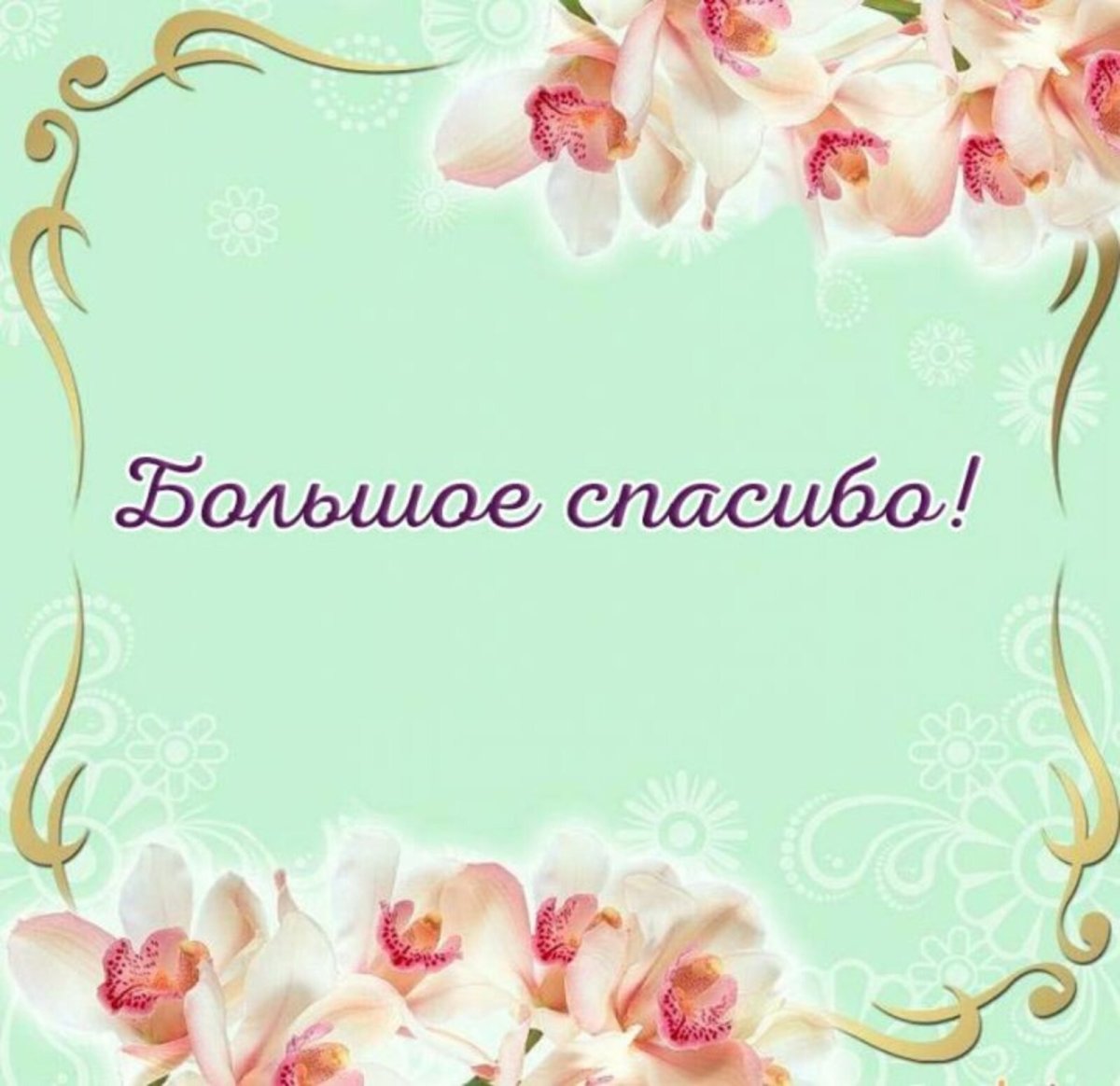 Венок цветов для Инстаграмм