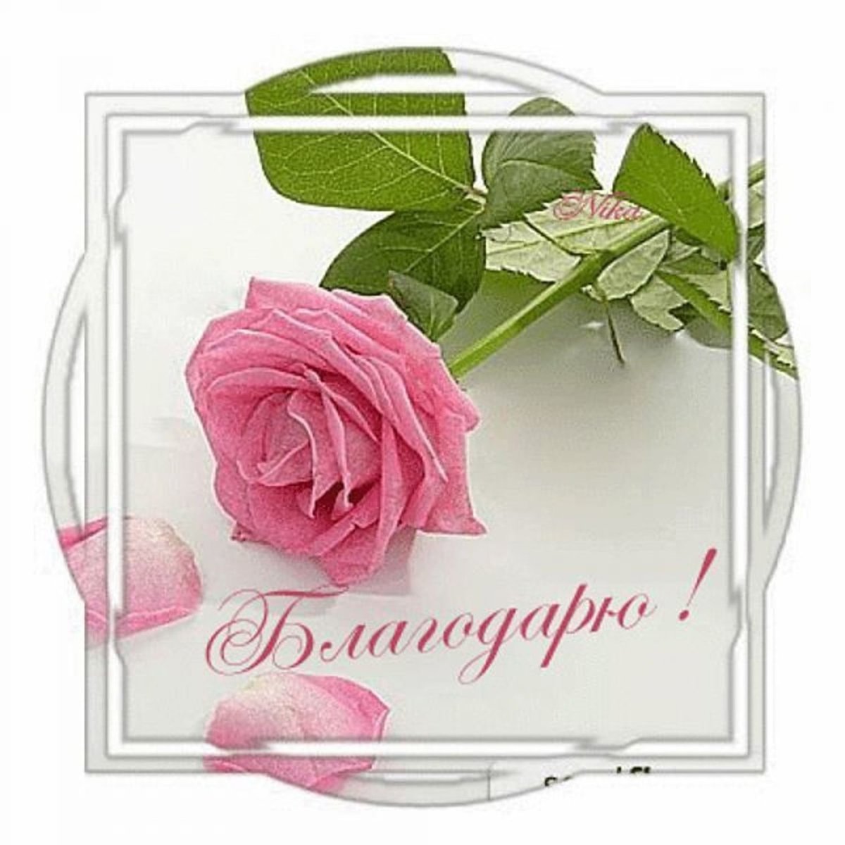 Доброй вам ночи и светлого завтра