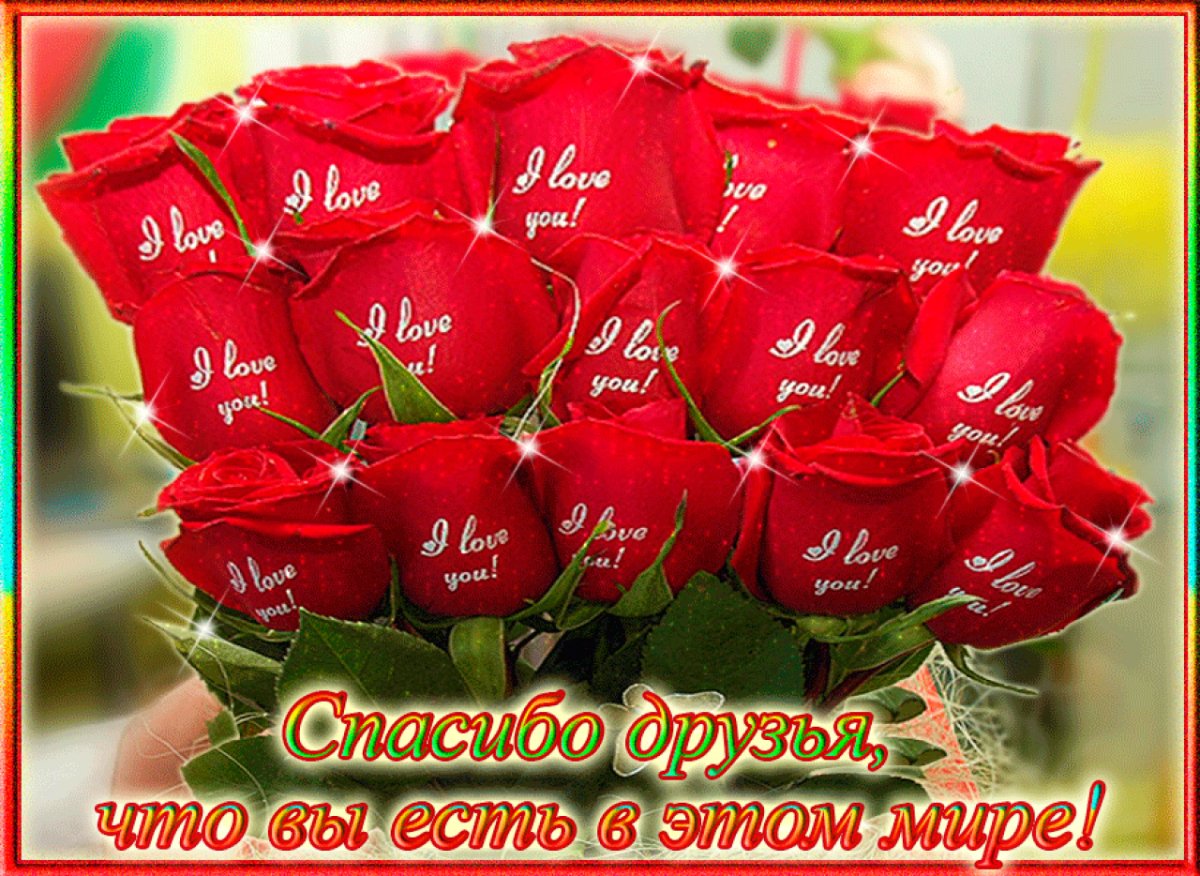 Спасибо друг