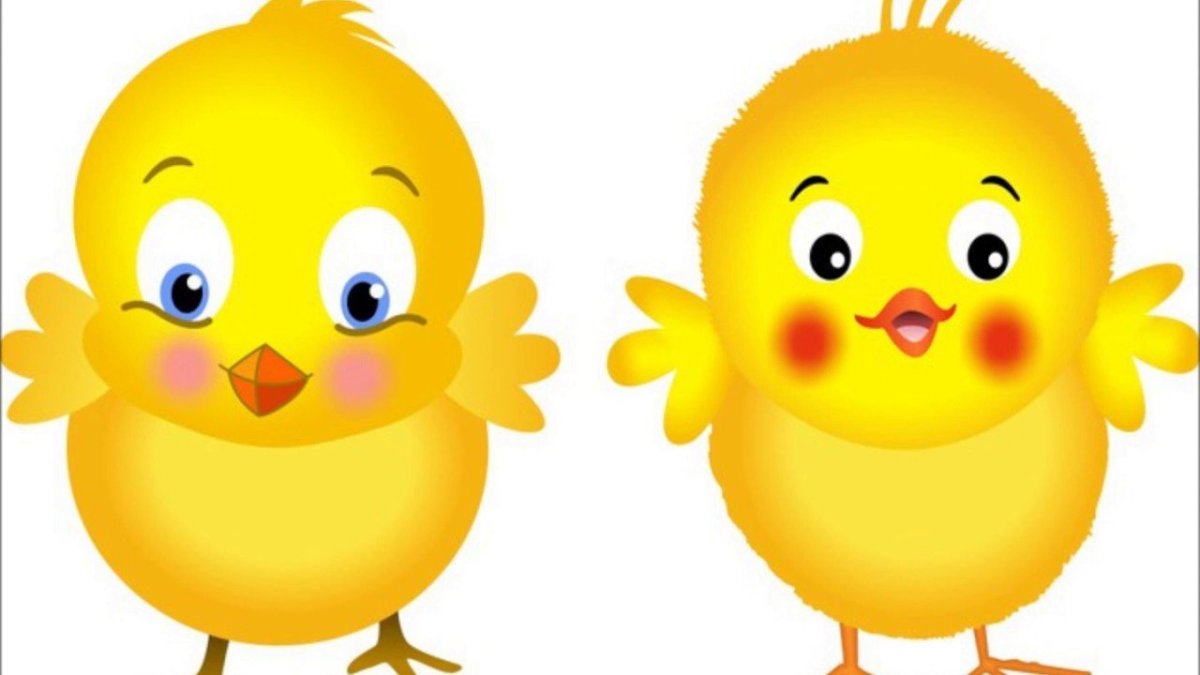 Карточки для детей цыпленок