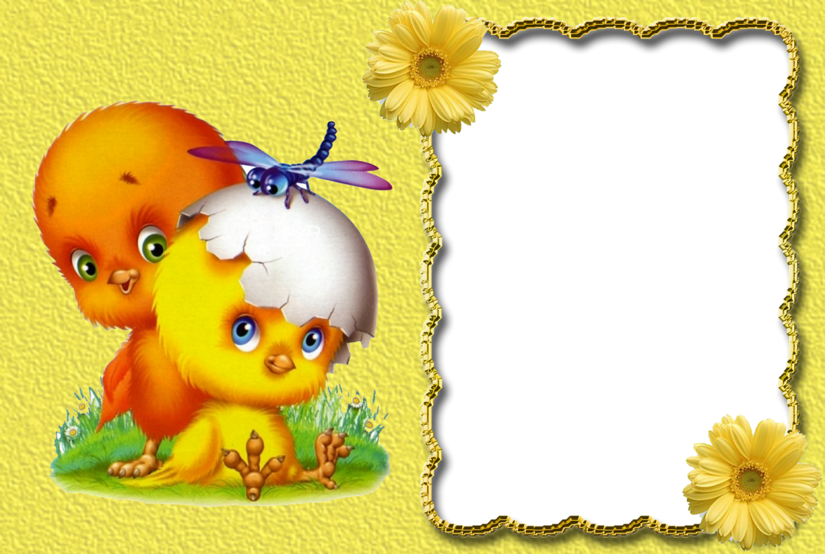 Рамка цыплята для детского сада
