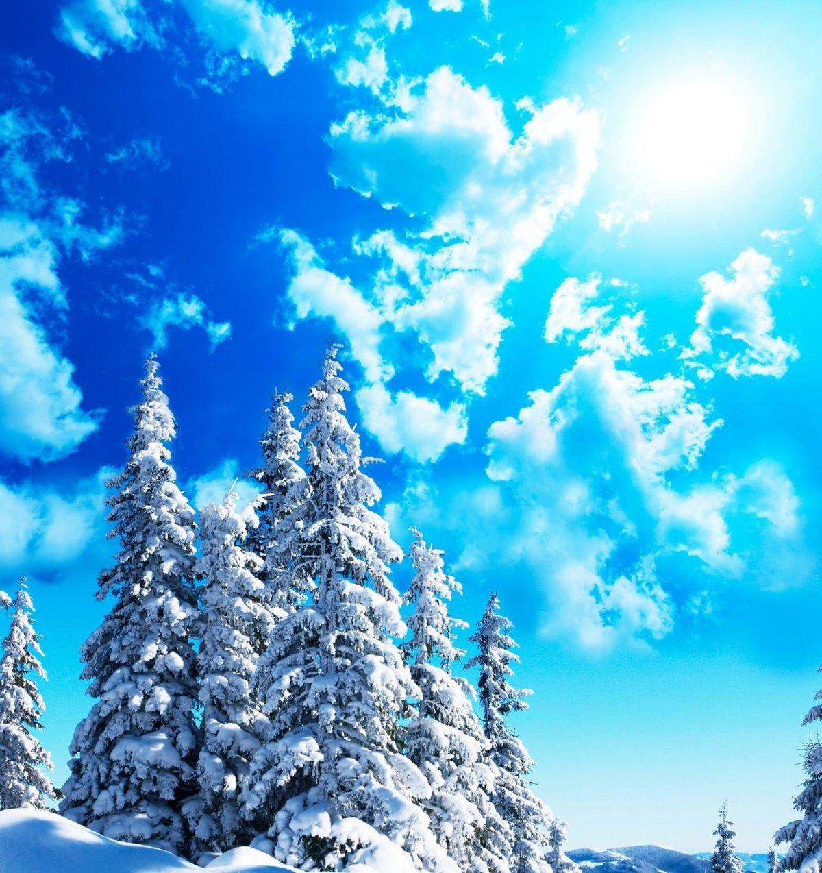 Зима вертикально