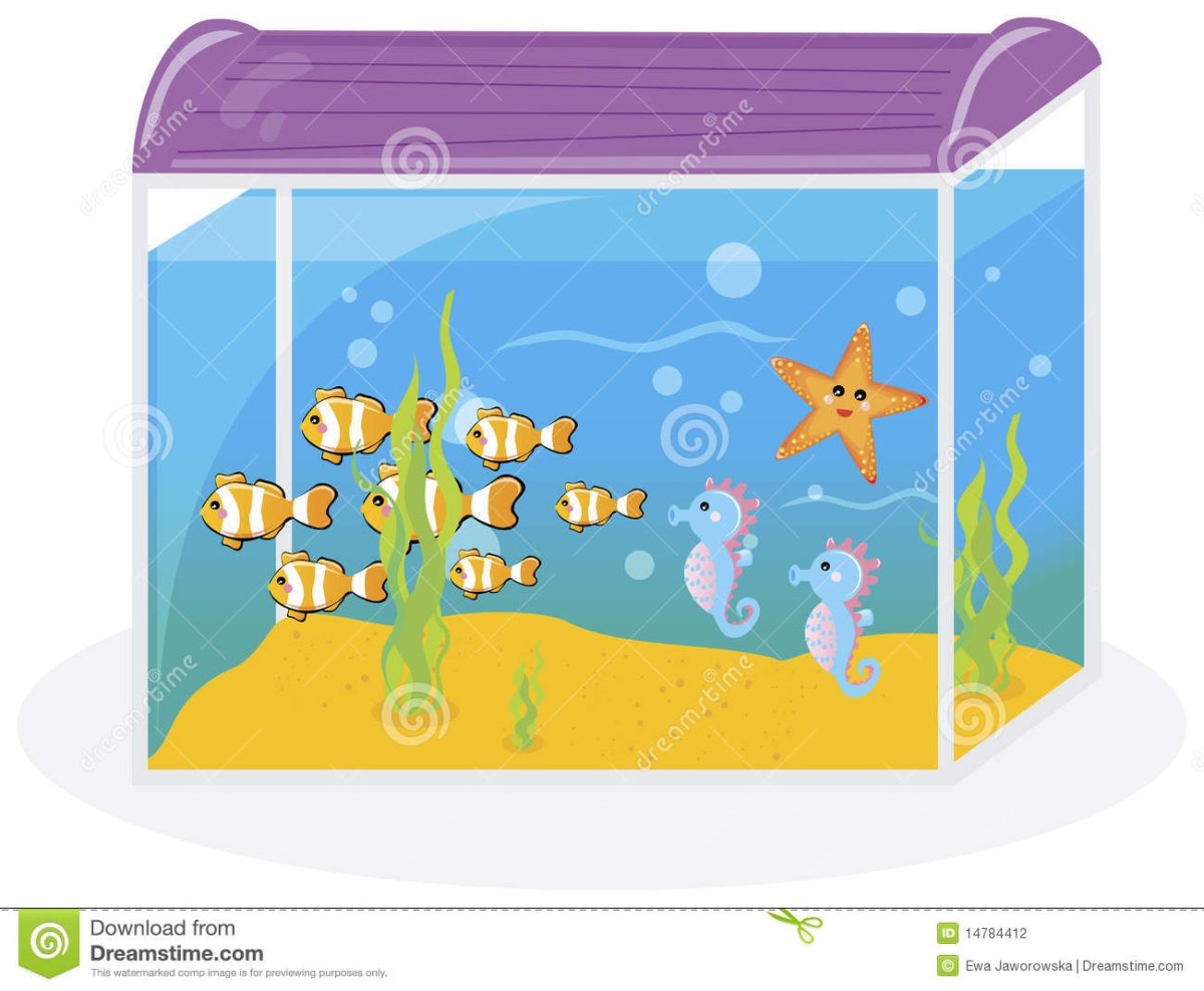 Аквариум наглядно для детей