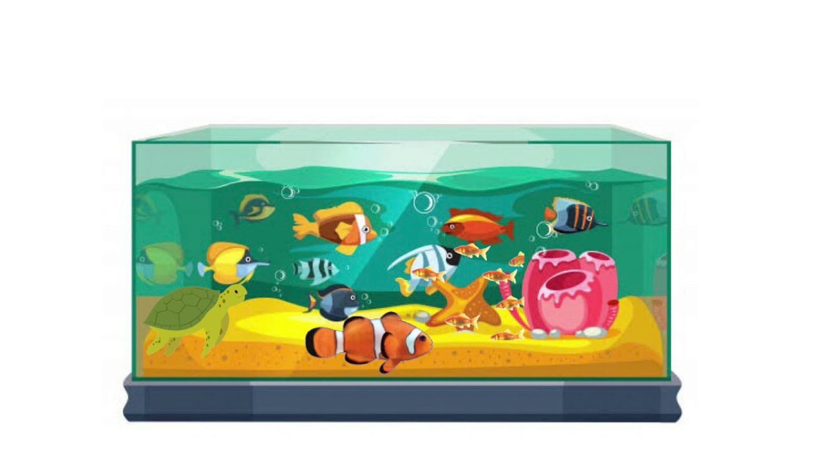 Квадратный аквариум для детей
