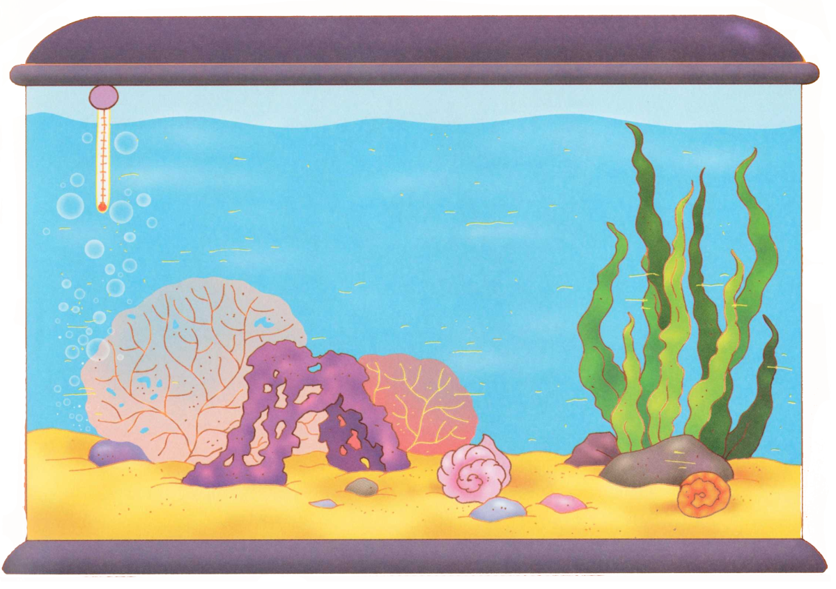 2 Панно с изображением аквариума аквариум с прорезями