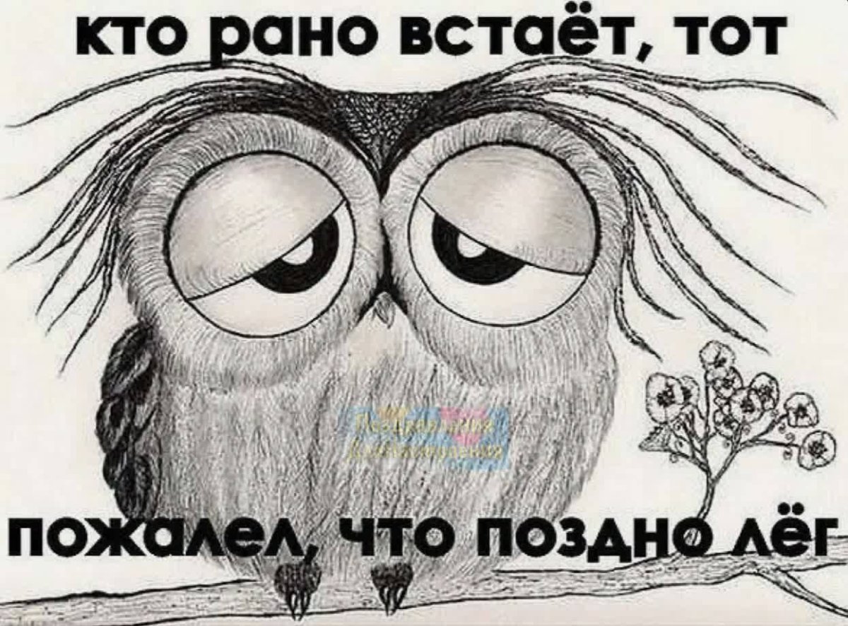 Смешные картинки для срисовки