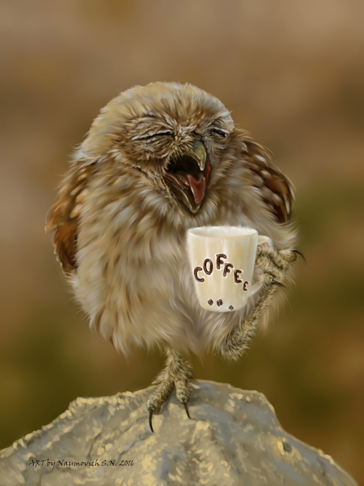 Сова с утра