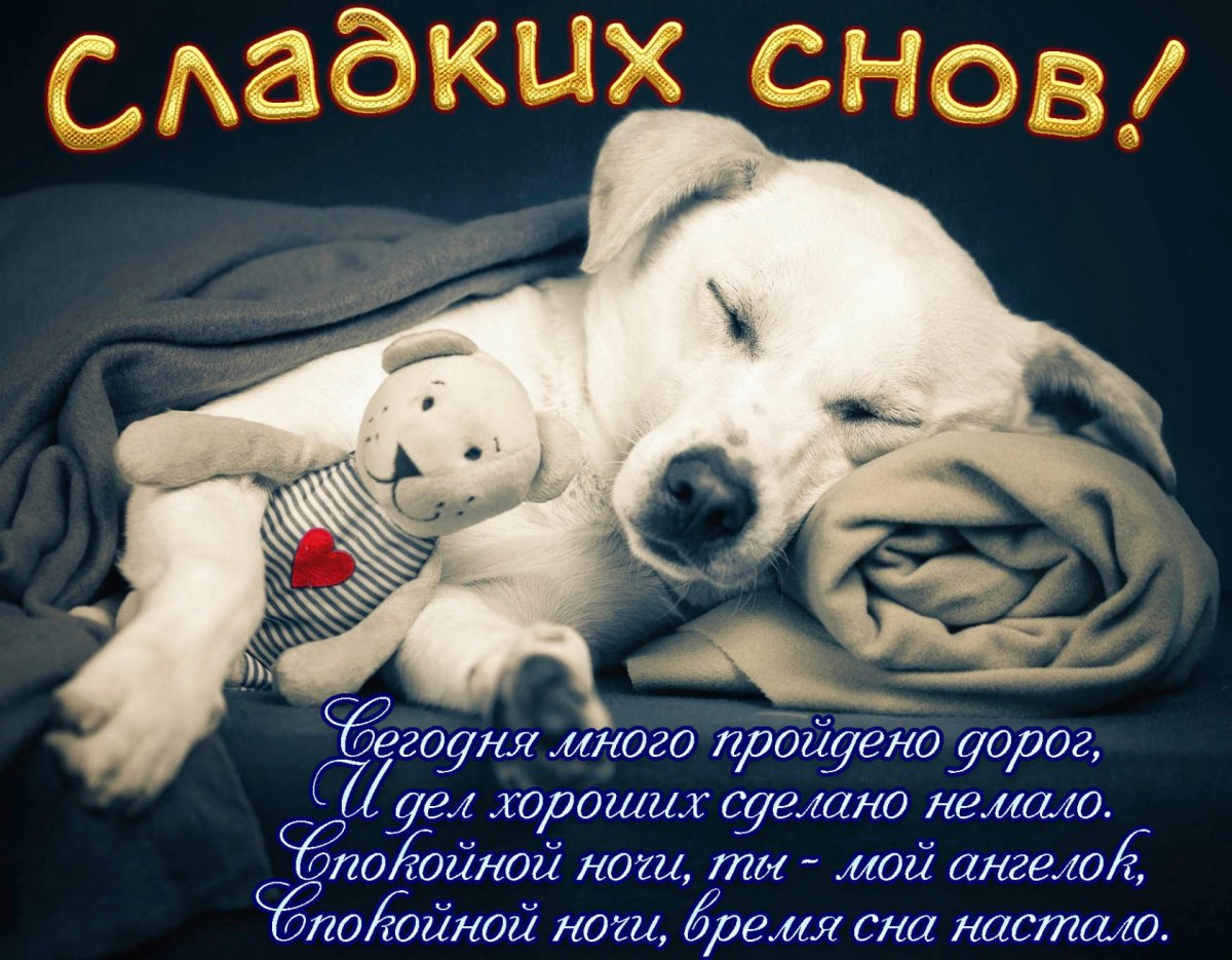 Сладких снов девушке