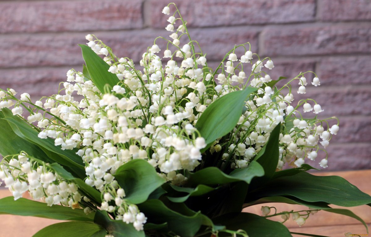 Весенние цветы Ландыши