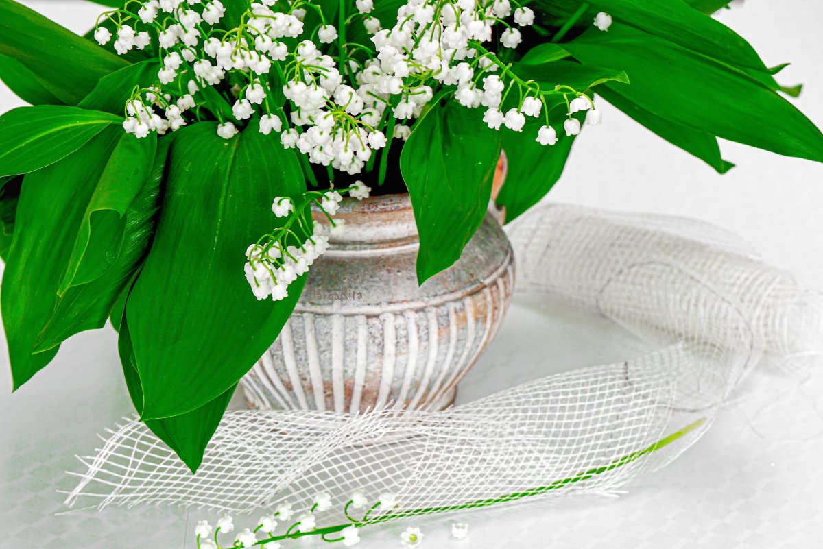 Желтые Ландыши