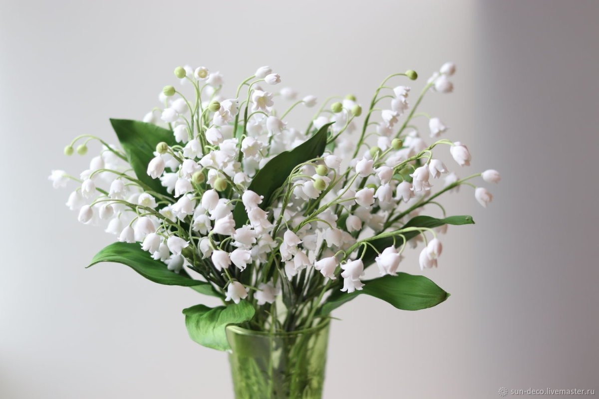 Ландыш Закавказский