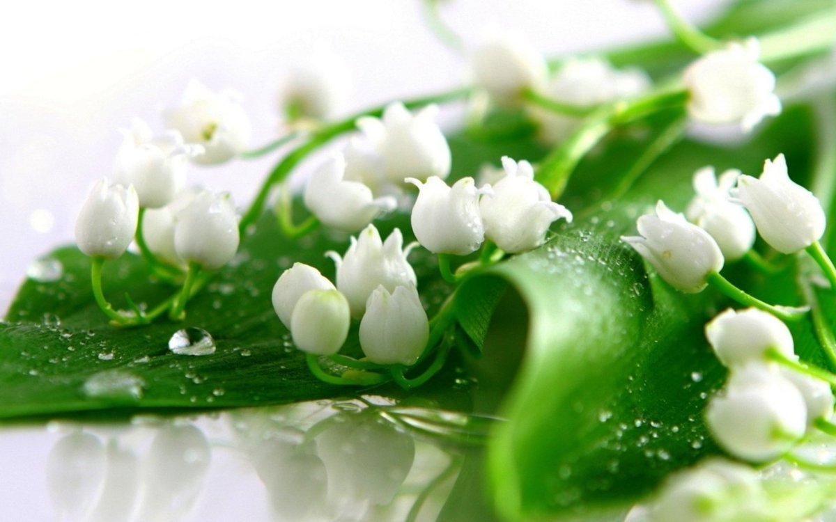 Весенние открытки