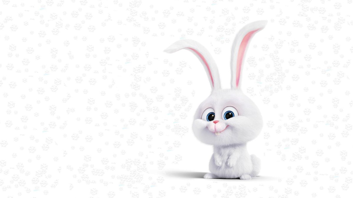 Заяц на прозрачном фоне