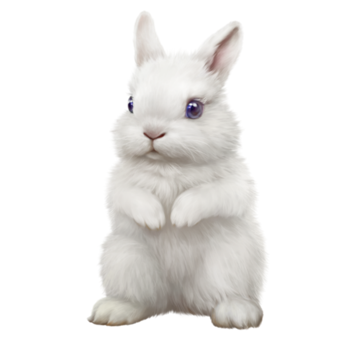 Зайчик отрисовки