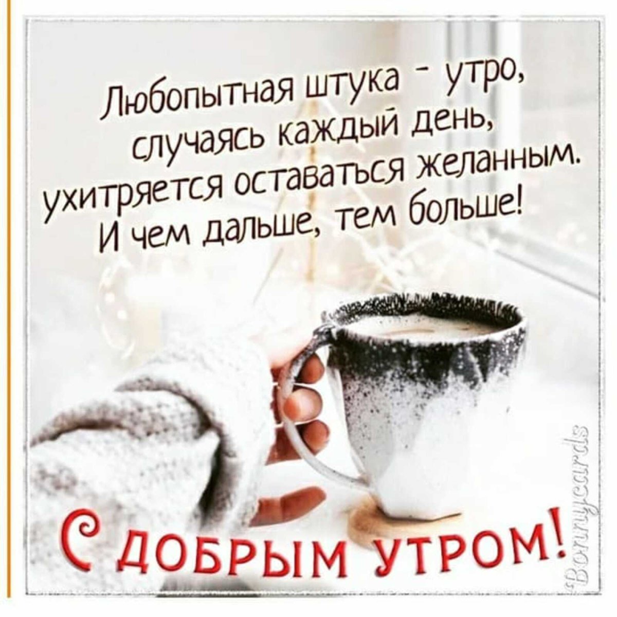 Любопытная штука утро