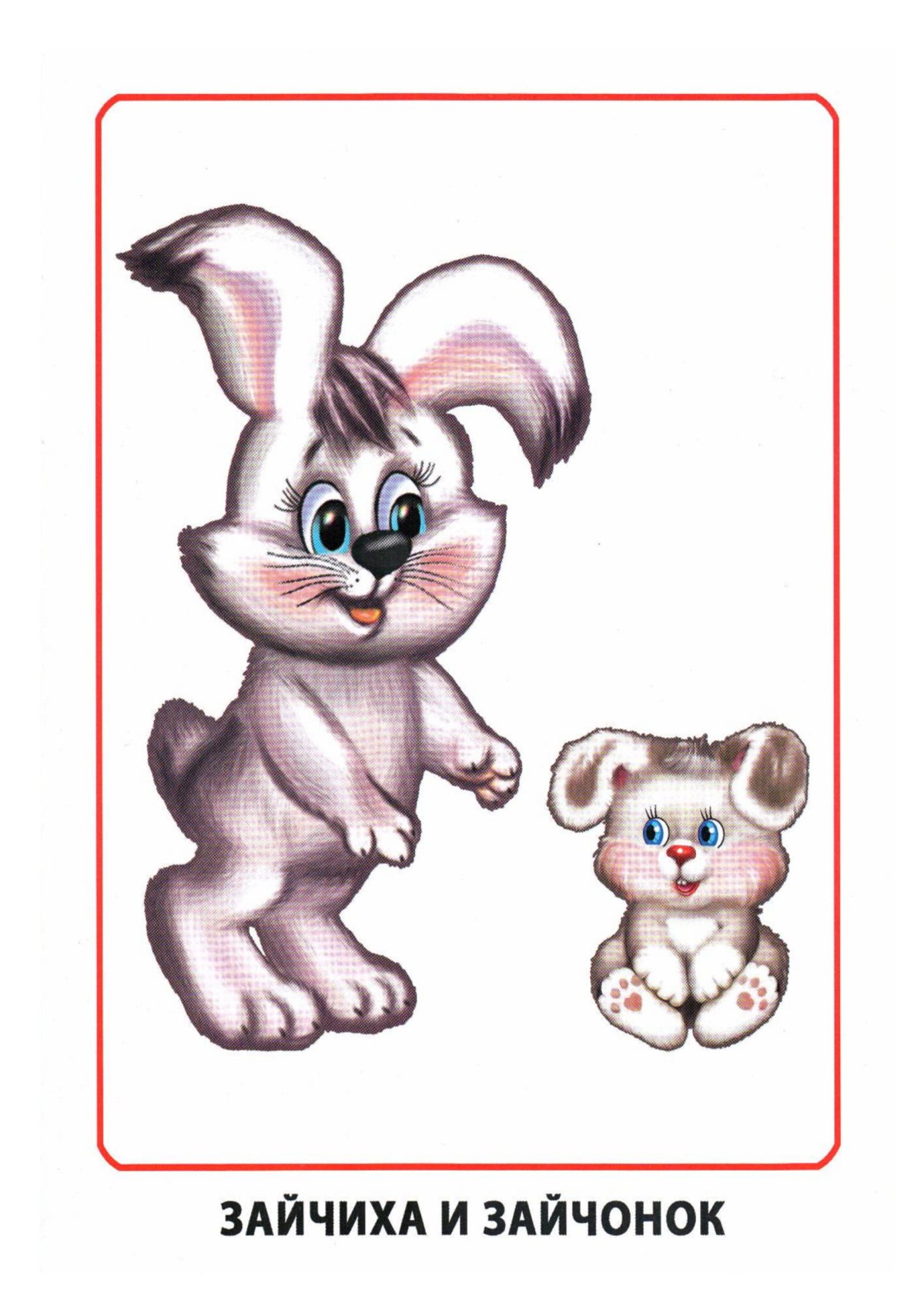 Зайка всезнайка