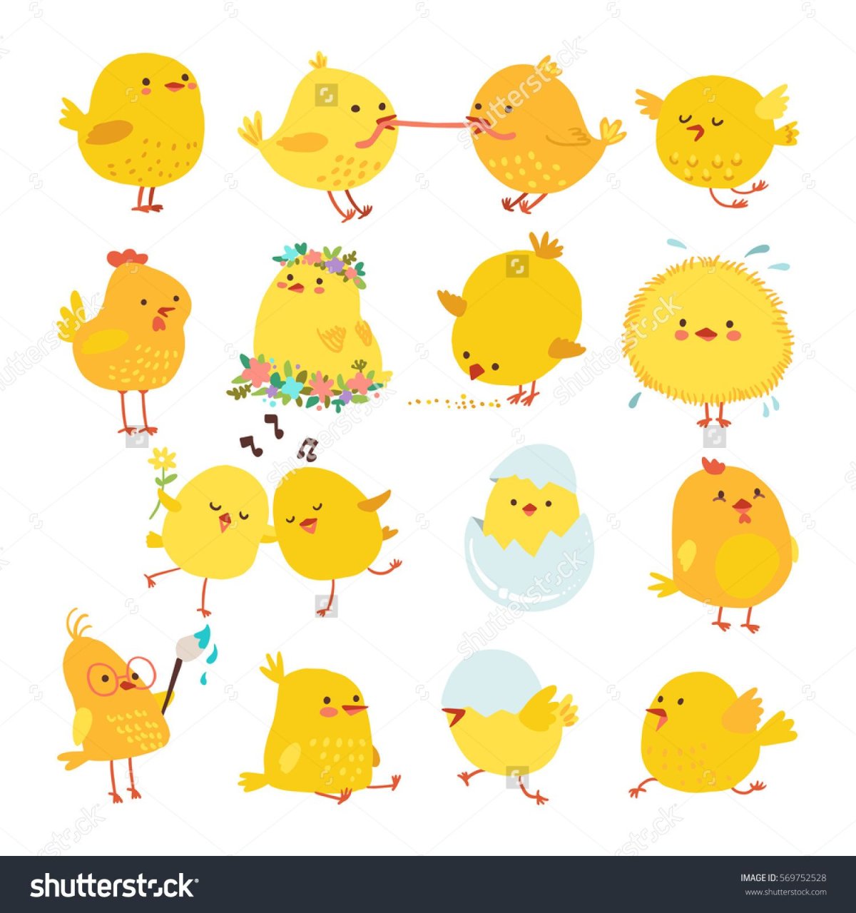 Цыпленок на белом фоне