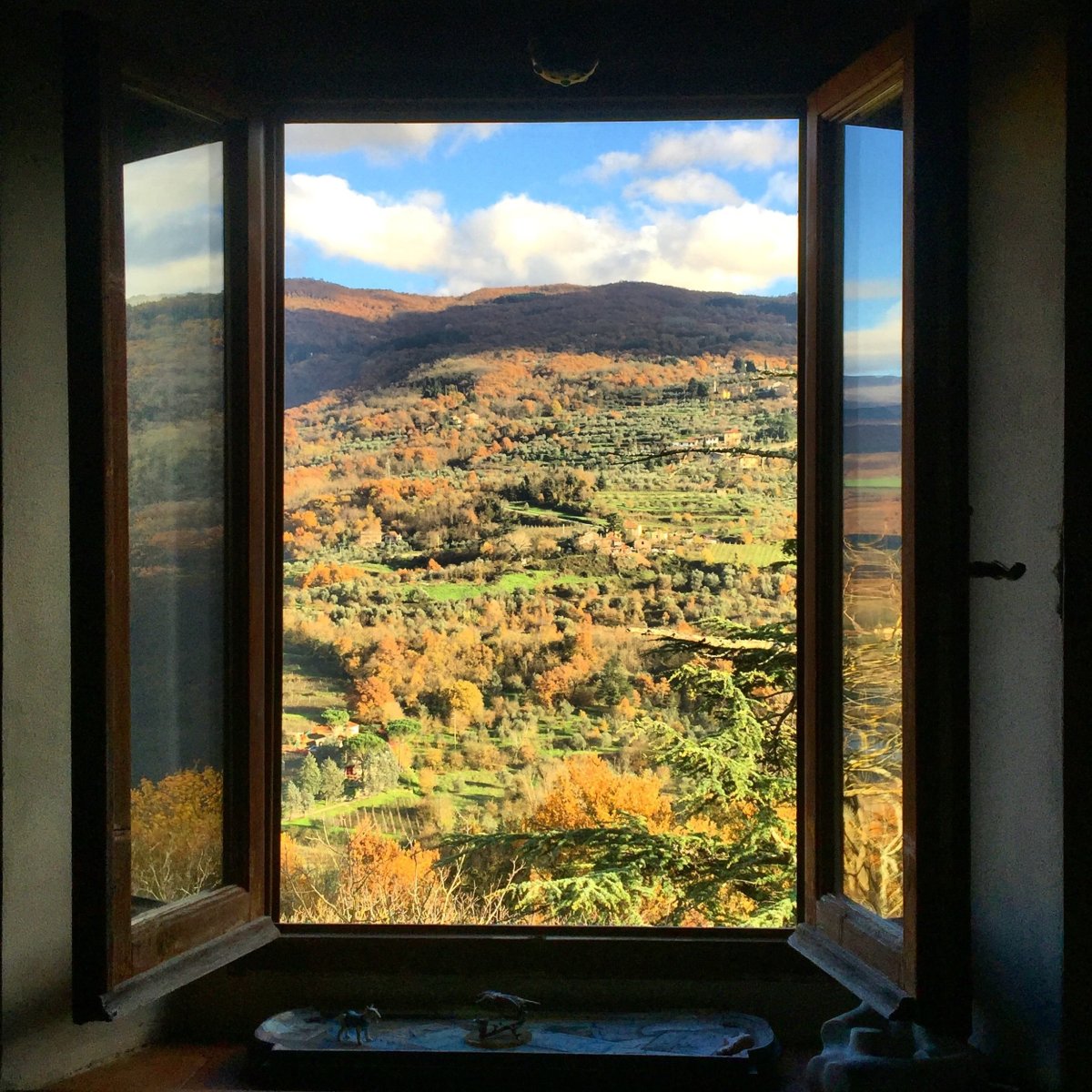 Окно с видом на природу