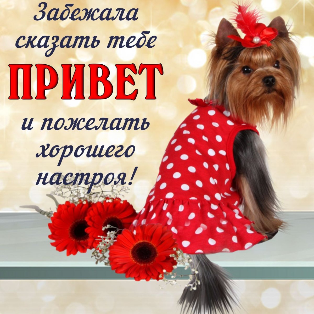 Девушки в нарисованных купальниках