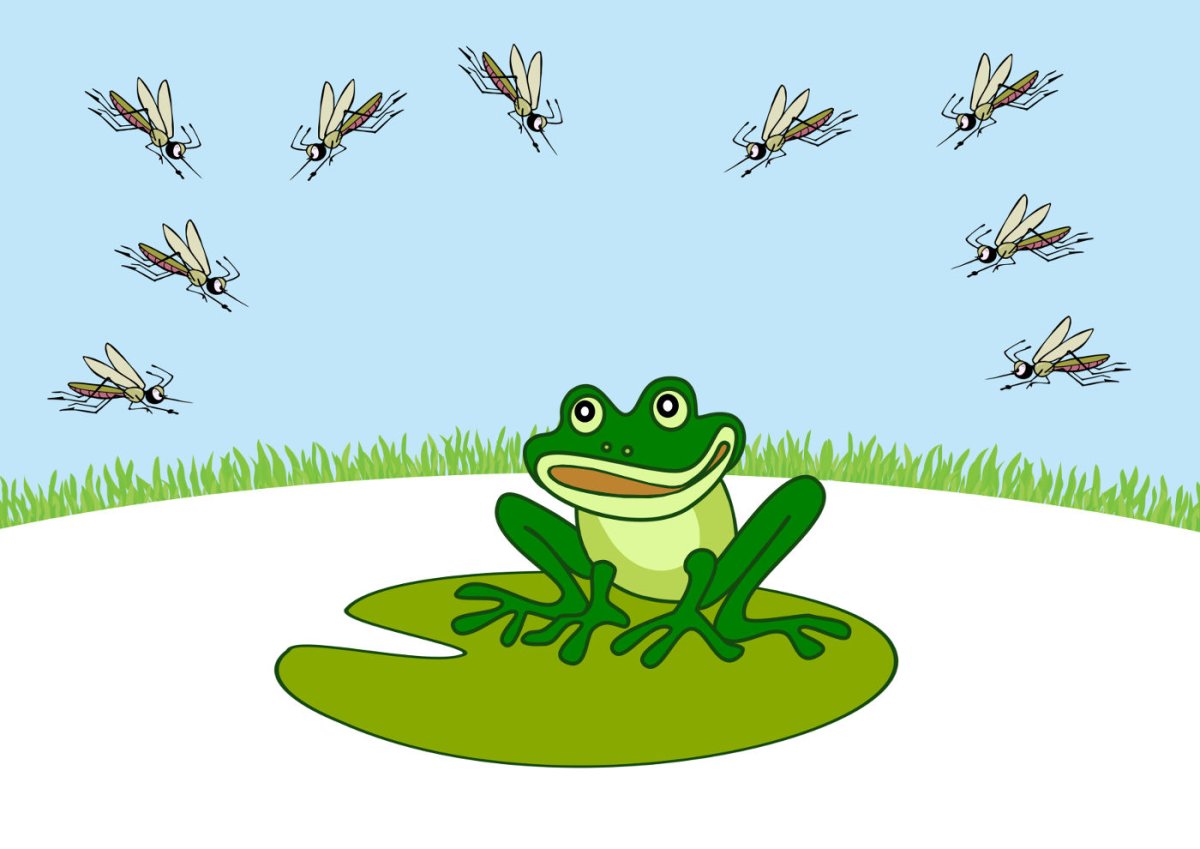 Лягушки вектор разные