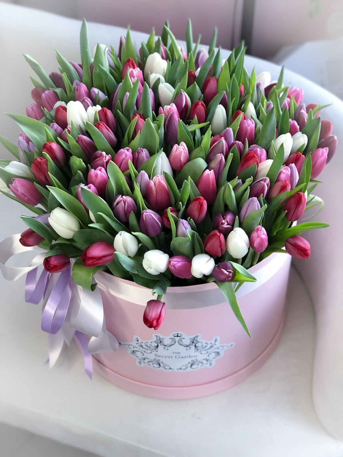 Тюльпаны пастельных тонов