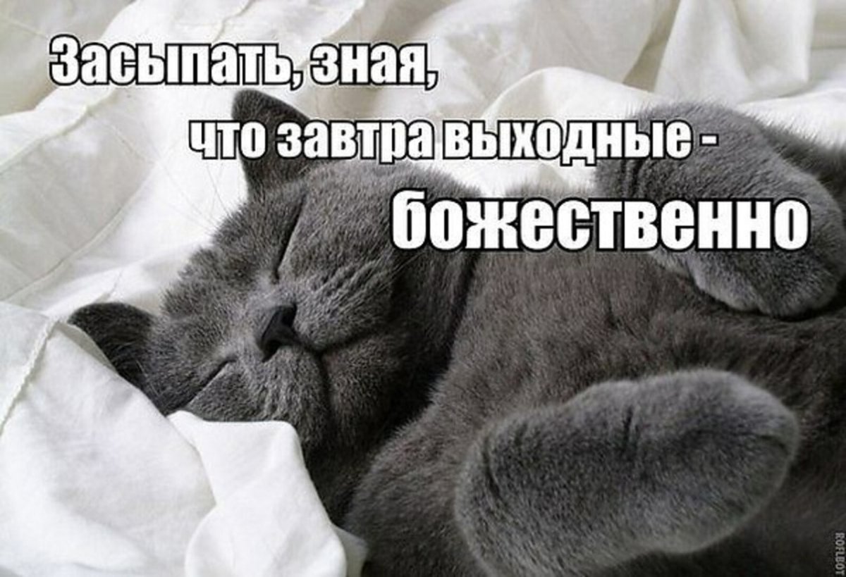 Спокойной ночи суббота