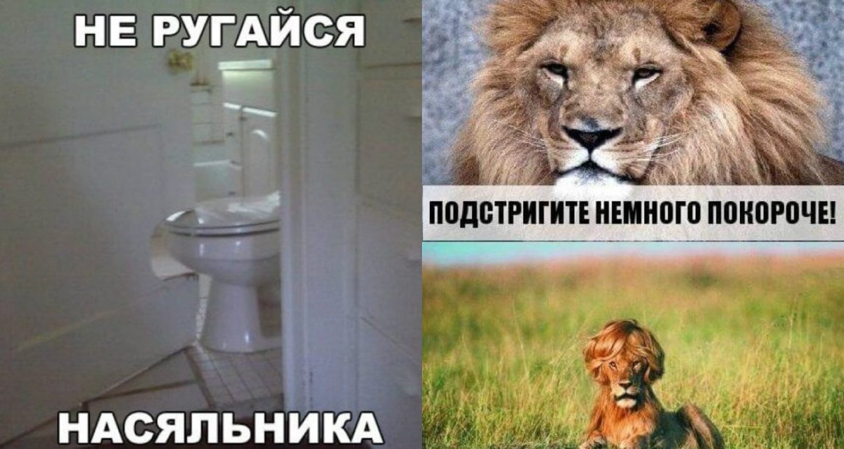 Понедельник выходной картинки приколы