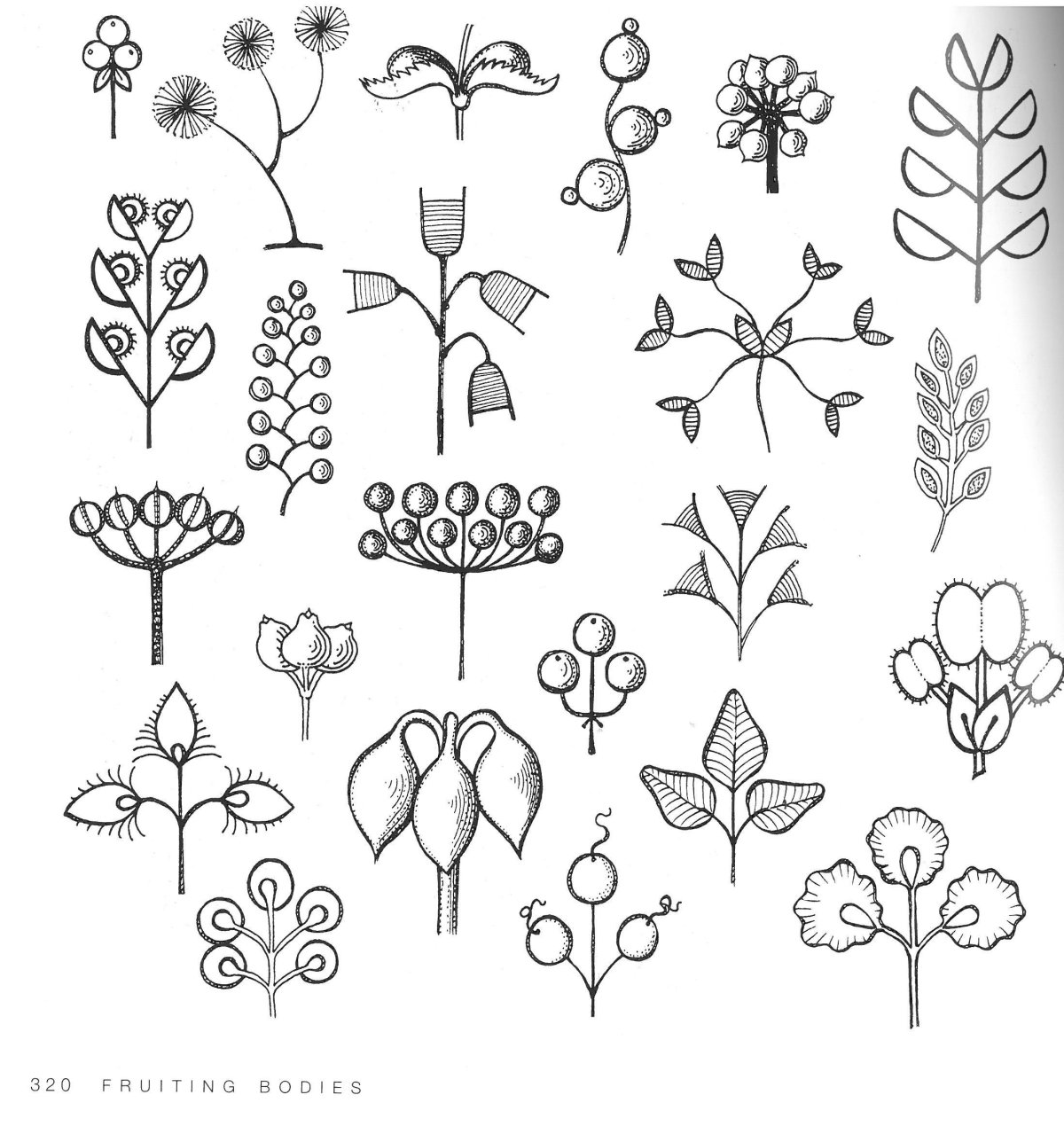 Шотландский орнамент чертополох