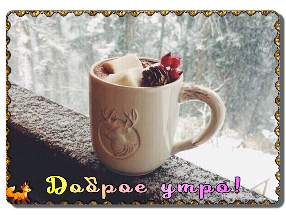 Позитивное зимние доброе утро с животными