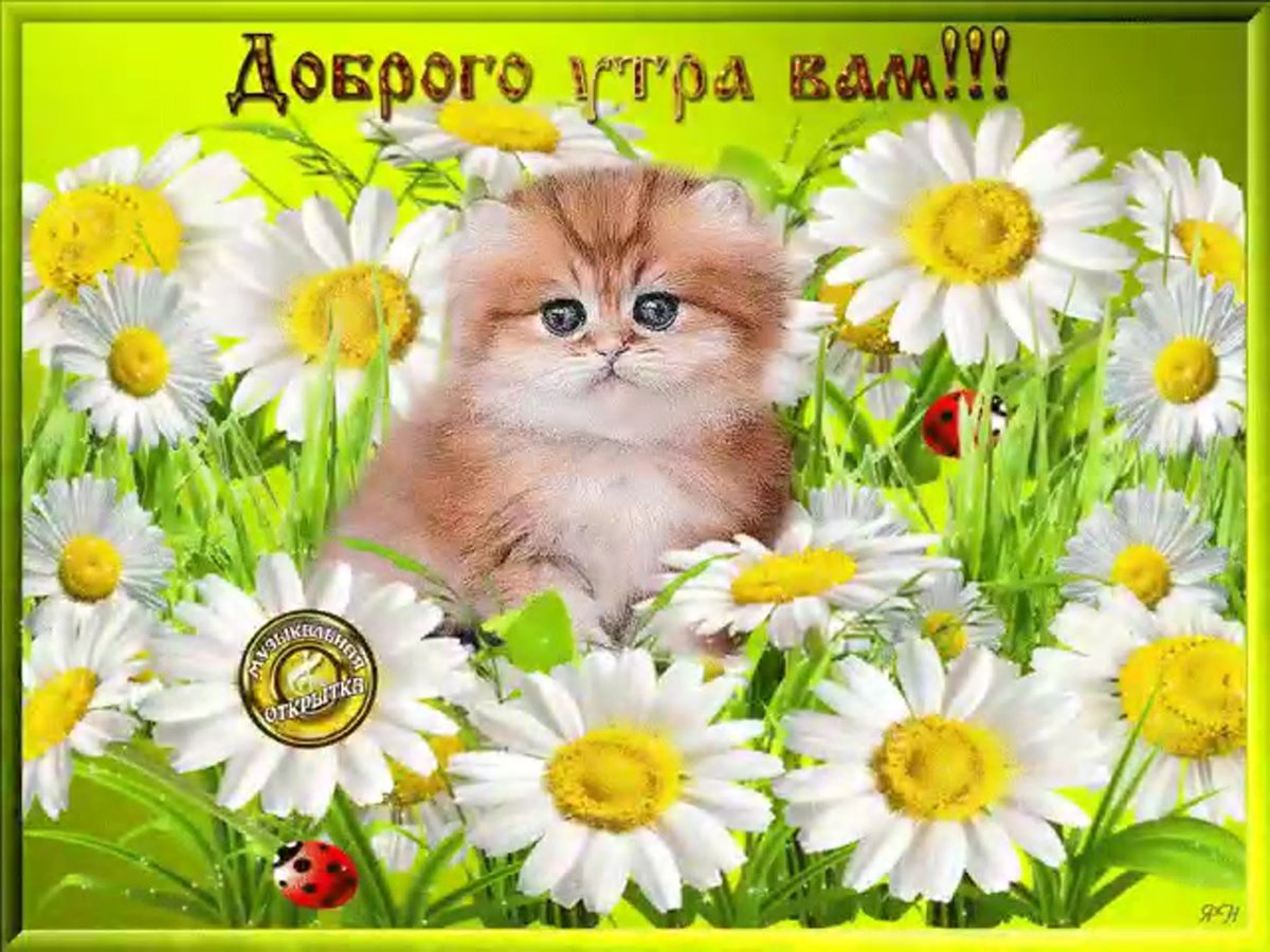 Доброе утро Белочка