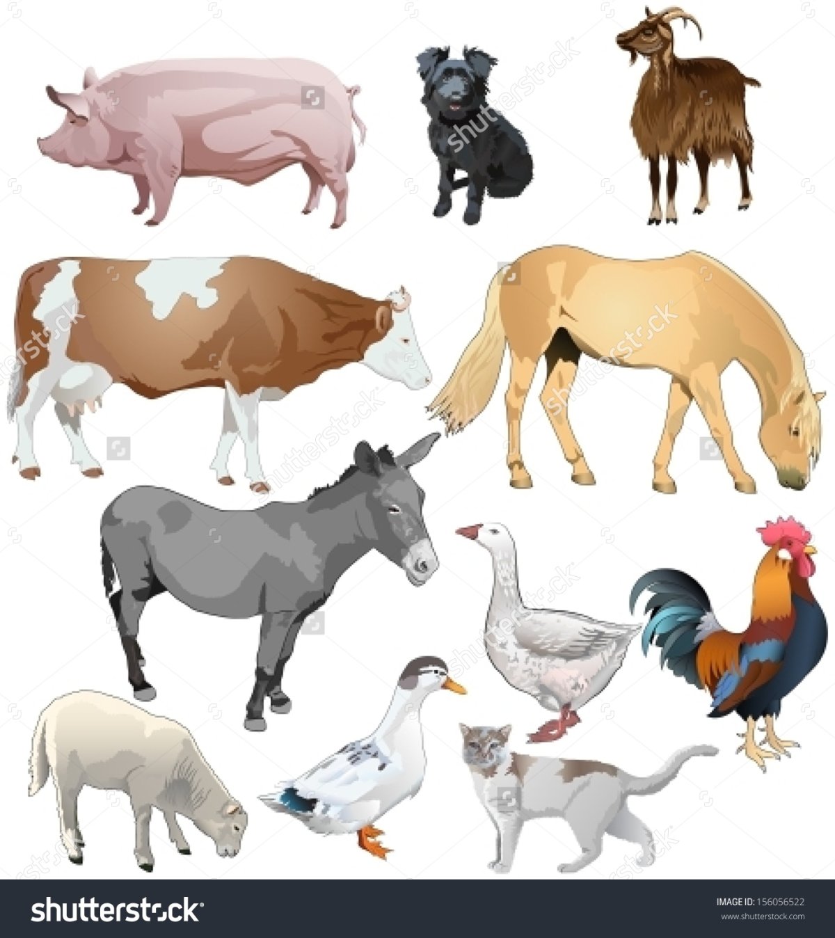 Корова бык теленок