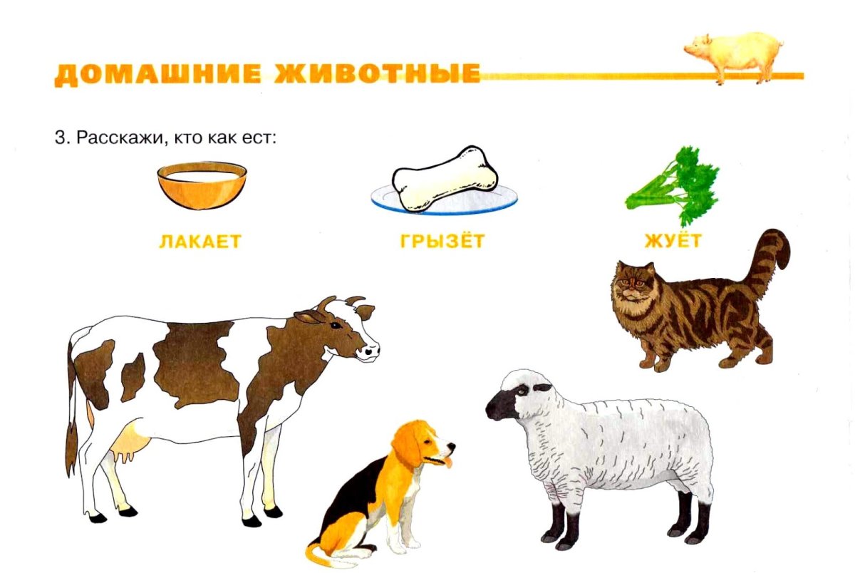 Пазл "домашние животные"