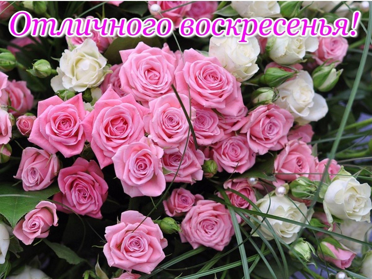 Отличного воскресенья фото