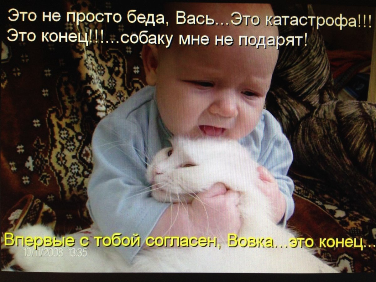 Забавные дети с надписями