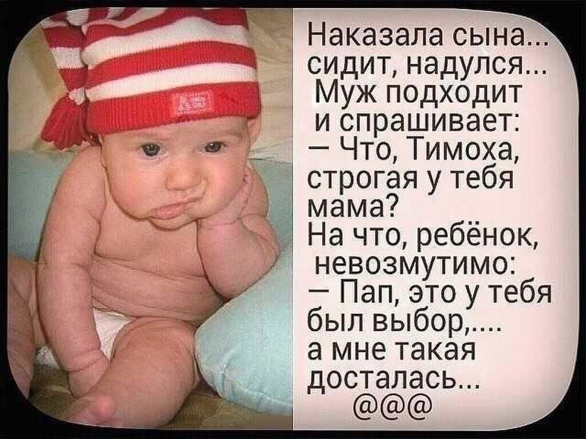 Дети и животные юмор