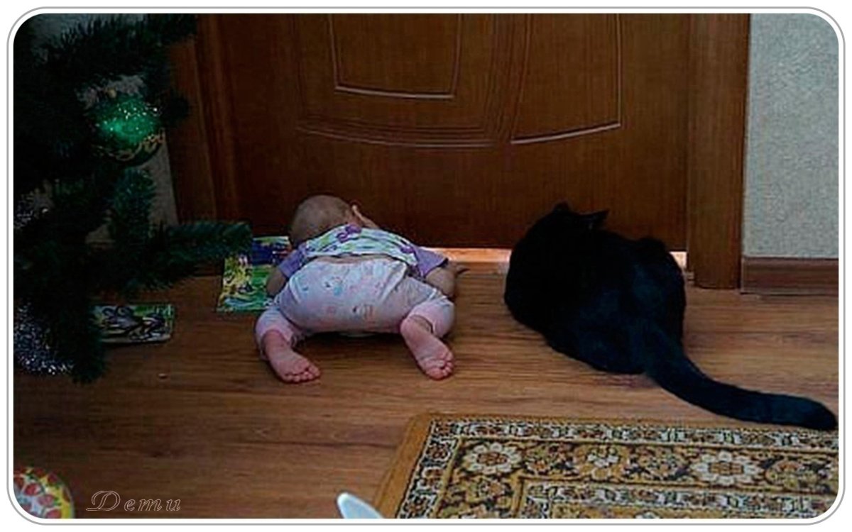 Мемные цитаты