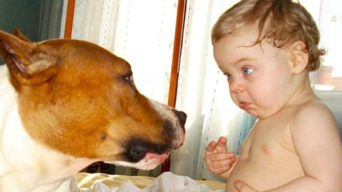 Стихи про Машу прикольные