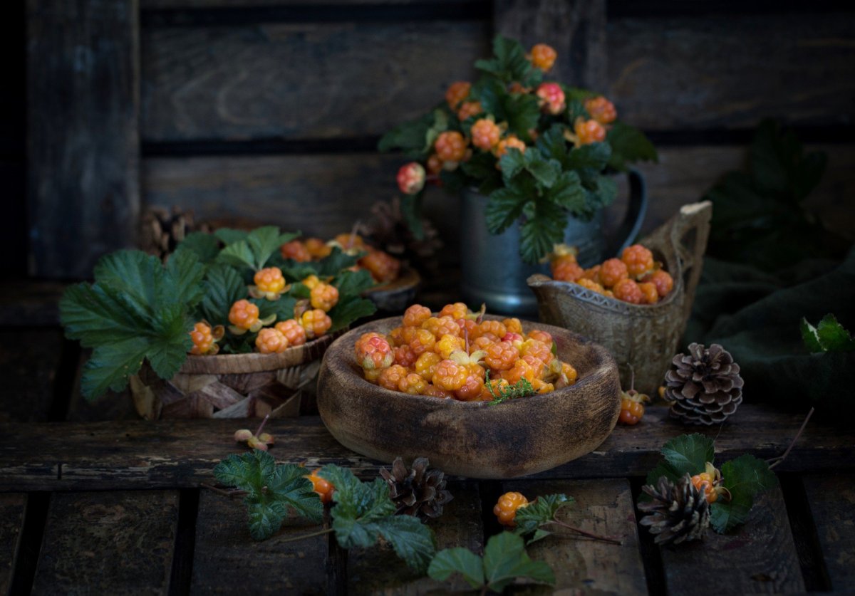 Северная ягода Морошка