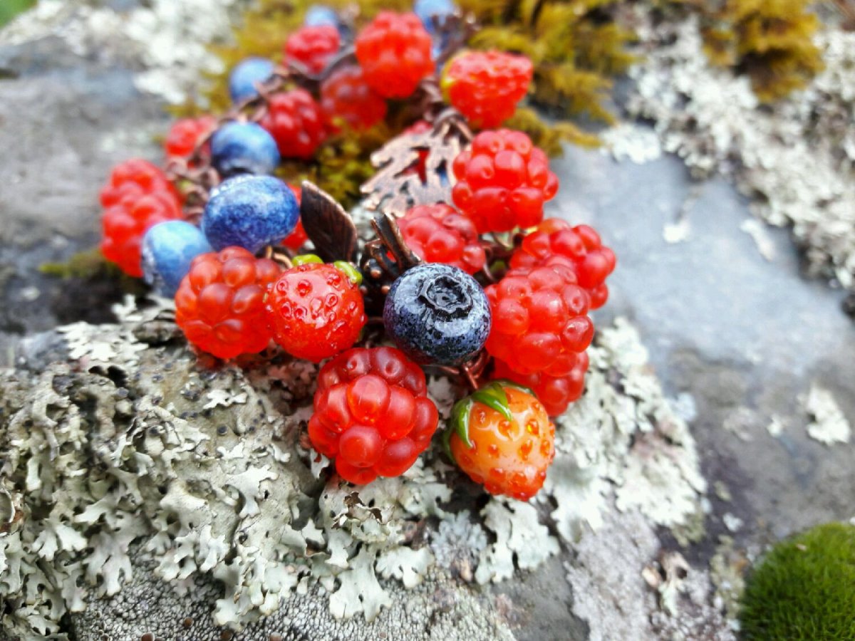 Морошка брусника голубика