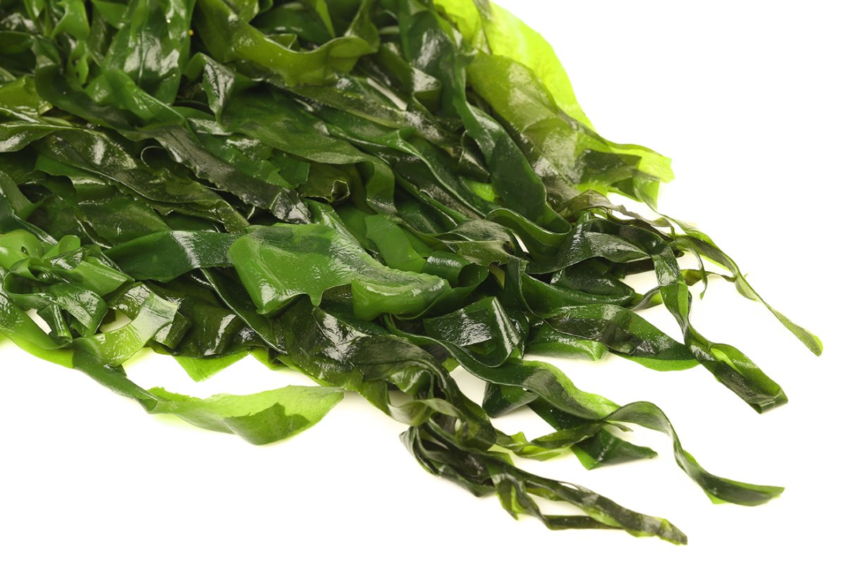 Водоросли нори вакаме