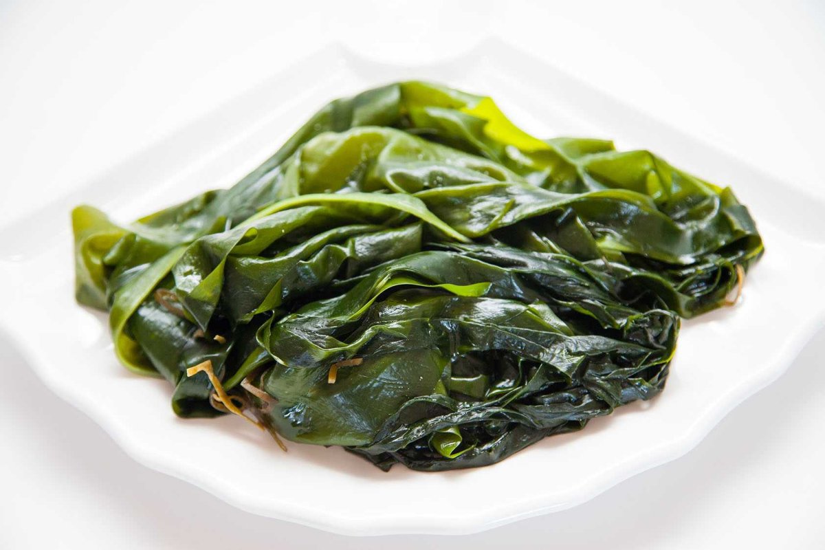 Ламинария иллюстрация