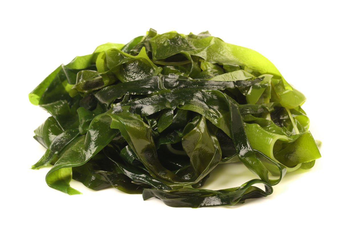 Нори Макото водоросли