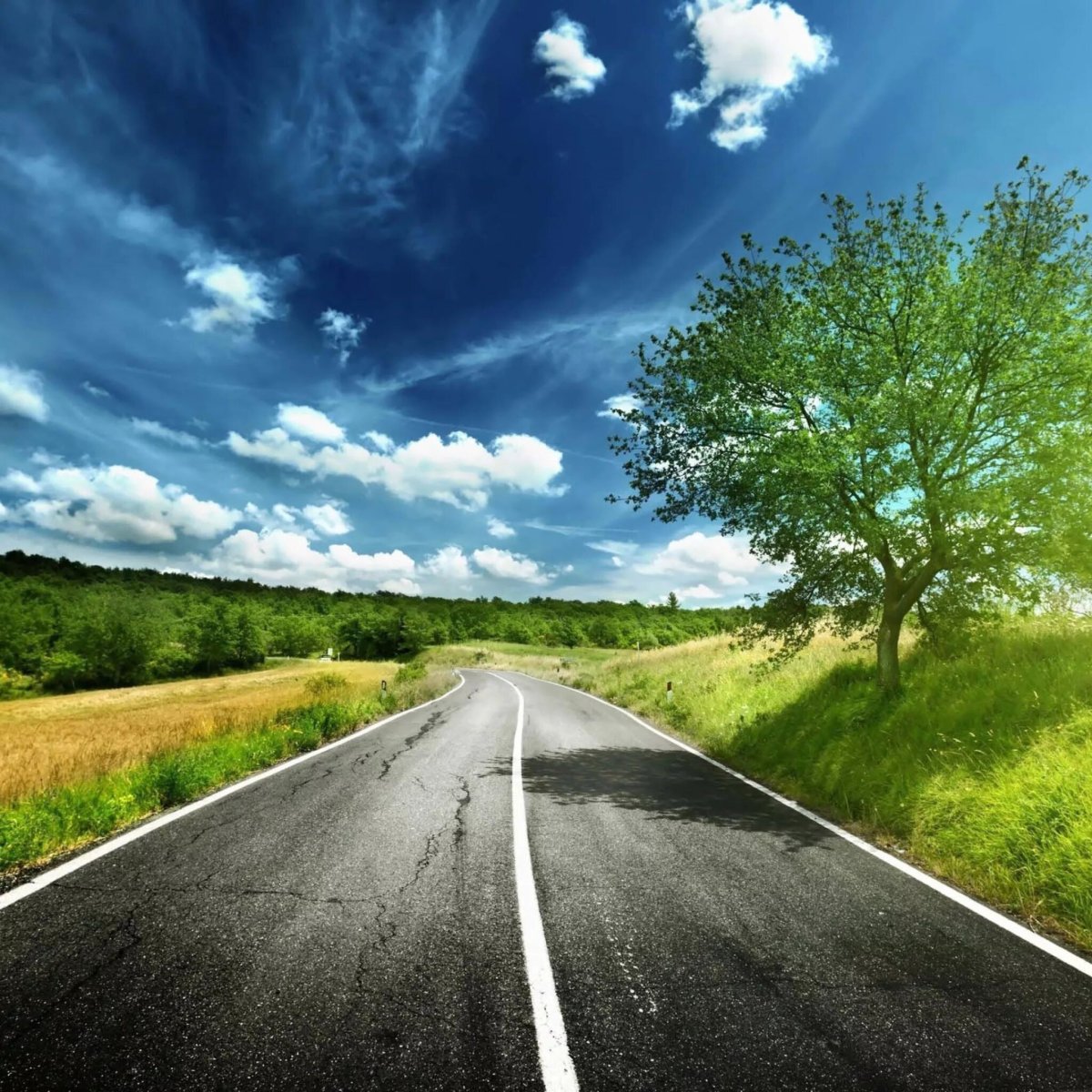 Дорога домой цитаты